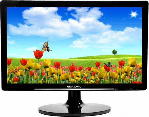 Gigasonic RB-G19S-300C 19" Anti-Glare HD LED Monitor